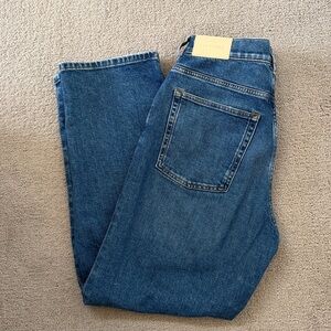 Everlane The Way High Jeans